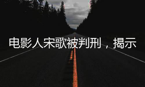 電影人宋歌被判刑，揭示業(yè)界內(nèi)幕與法律正義