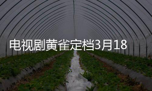 電視劇黃雀定檔3月18日，劇情解讀及期待視野（原創(chuàng)文章）