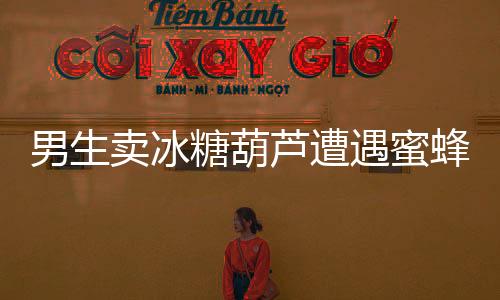 男生賣冰糖葫蘆遭遇蜜蜂嚴(yán)選——街頭小販的奇遇與挑戰(zhàn)