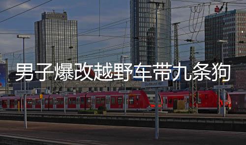 男子爆改越野車(chē)帶九條狗回鄉(xiāng)過(guò)年，人與動(dòng)物情感彰顯新篇章
