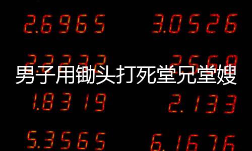 男子用鋤頭打死堂兄堂嫂被判死緩，罪行背后的細(xì)節(jié)揭示與法理剖析