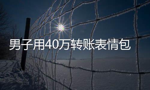 男子用40萬(wàn)轉(zhuǎn)賬表情包成功套走8000元，網(wǎng)絡(luò)欺詐新手法揭秘
