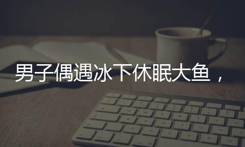 男子偶遇冰下休眠大魚，意外收獲引熱議，這是自然賦予的奇跡嗎？