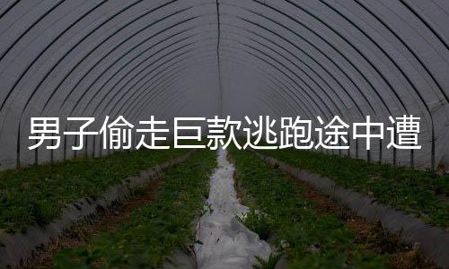 男子偷走巨款逃跑途中遭遇車禍，警方緊急介入調(diào)查