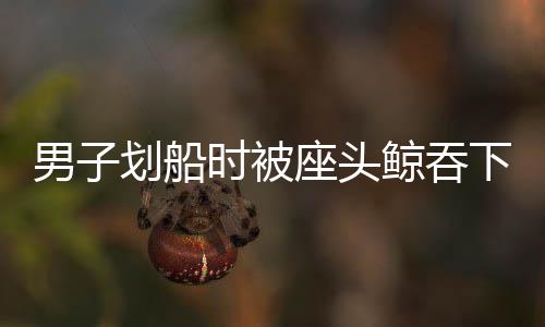 男子劃船時被座頭鯨吞下后吐出，奇跡般的生存故事