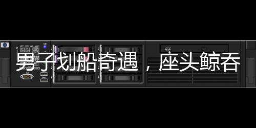 男子劃船奇遇，座頭鯨吞而復(fù)吐驚魂時刻