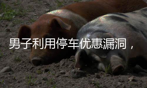 男子利用停車優(yōu)惠漏洞，頻繁逃費(fèi)被曝光，涉嫌逃費(fèi)停車費(fèi)達(dá)71次