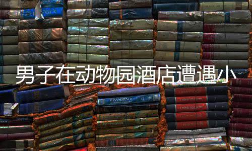 男子在動(dòng)物園酒店遭遇小熊貓襲擊，意外受傷