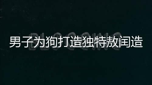 男子為狗打造獨特敖閏造型，一場創(chuàng)意與寵愛的結合