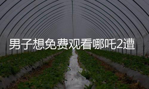 男子想免費觀看哪吒2遭遇騙局，損失880元
