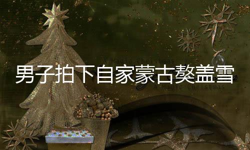 男子拍下自家蒙古獒蓋雪而睡，冬日里的一幅溫馨畫卷