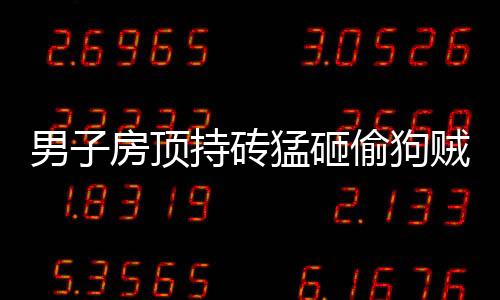 男子房頂持磚猛砸偷狗賊——正義的抗?fàn)幵谛袆?dòng)