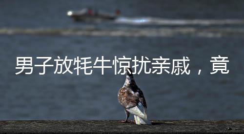 男子放牦牛驚擾親戚，竟致其爬路燈桿——一則趣事揭示生活百態(tài)