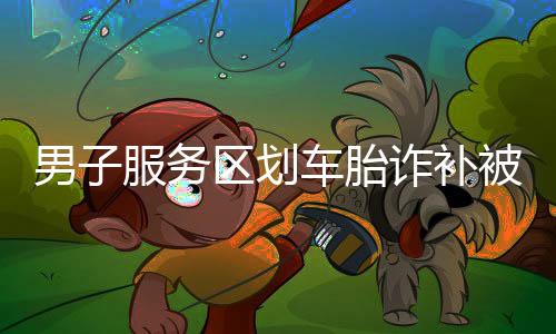 男子服務(wù)區(qū)劃車胎詐補(bǔ)被刑拘，一起探究事件的來龍去脈