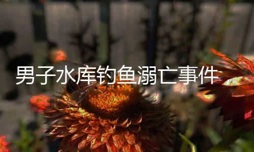 男子水庫釣魚溺亡事件，悲劇背后的警示與反思