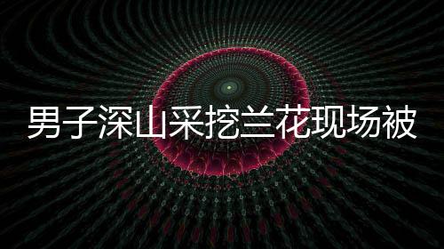 男子深山采挖蘭花現(xiàn)場被擒，法律對野生植物保護(hù)的嚴(yán)峻警示