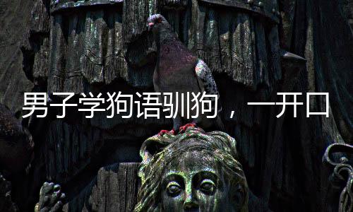 男子學(xué)狗語馴狗，一開口就被撲咬——探尋人與犬的溝通之道