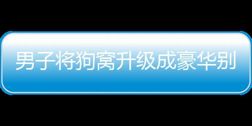 男子將狗窩升級(jí)成豪華別墅，人與寵物的溫馨共享空間