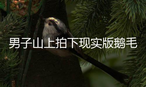 男子山上拍下現實版鵝毛大雪，壯麗景象震撼人心