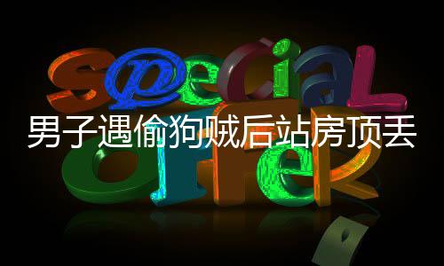 男子遇偷狗賊后站房頂丟磚頭猛砸，英勇舉動贏得社會點贊