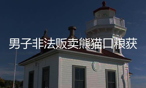 男子非法販賣熊貓口糧獲刑，一起揭示保護(hù)野生動物的法律紅線事件