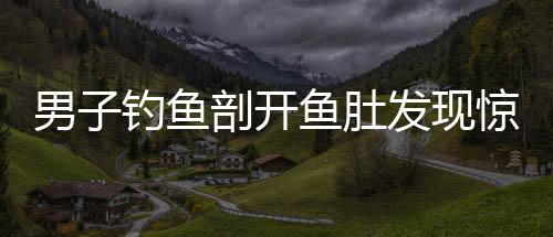 男子釣魚剖開魚肚發(fā)現(xiàn)驚人秘密，魚肚內(nèi)藏17個假餌