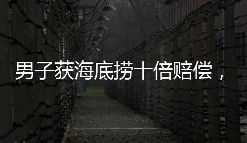 男子獲海底撈十倍賠償，朋友要求平分——一起探究賠償分配背后的故事