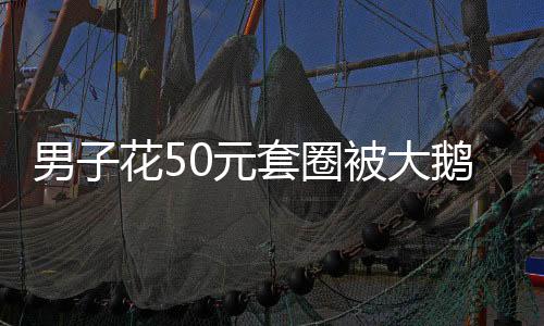 男子花50元套圈被大鵝上課——城市套圈活動的意外收獲