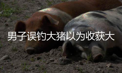 男子誤釣大豬以為收獲大魚，幽默瞬間引爆網(wǎng)絡(luò)熱議