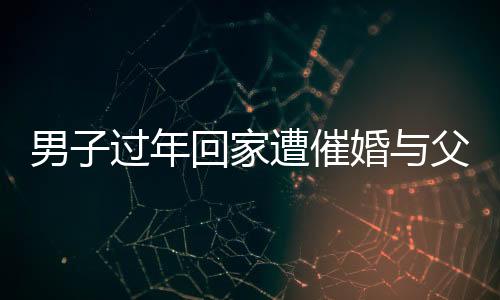 男子過年回家遭催婚與父親辯論被KO，一場關(guān)于婚戀觀的激烈碰撞
