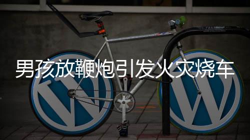 男孩放鞭炮引發(fā)火災(zāi)燒車，監(jiān)護(hù)人被判全責(zé)