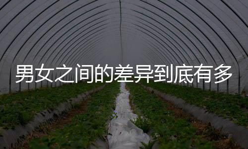 男女之間的差異到底有多明顯