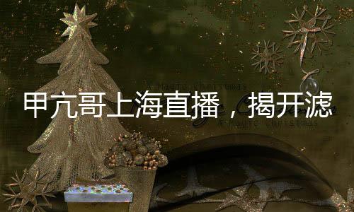 甲亢哥上海直播，揭開濾鏡背后的真實(shí)中國