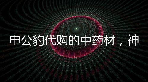 申公豹代購的中藥材，神秘藥材背后的驚人故事