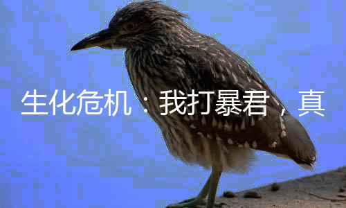 生化危機：我打暴君，真的假的？