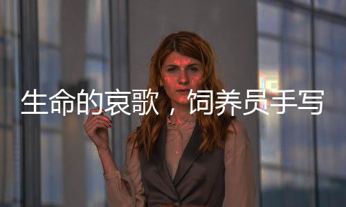 生命的哀歌，飼養(yǎng)員手寫的訃告，紀(jì)念逝去的河馬