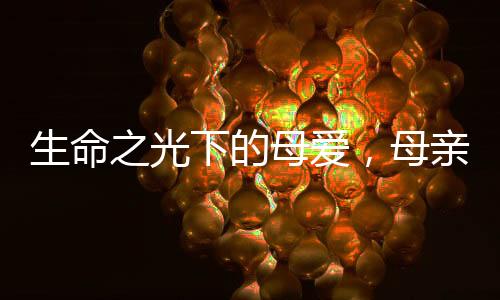 生命之光下的母愛，母親癌癥晚期堅守的愛與關懷
