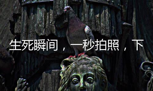 生死瞬間，一秒拍照，下一秒被撞飛