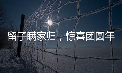 留子瞞家歸，驚喜團(tuán)圓年