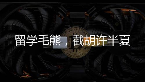 留學(xué)毛熊，截胡許半夏