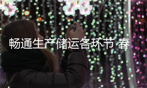 暢通生產(chǎn)儲(chǔ)運(yùn)各環(huán)節(jié) 春節(jié)前蔬菜市場(chǎng)供應(yīng)足價(jià)格穩(wěn)