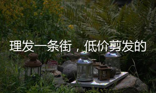 理發(fā)一條街，低價(jià)剪發(fā)的魅力與挑戰(zhàn)