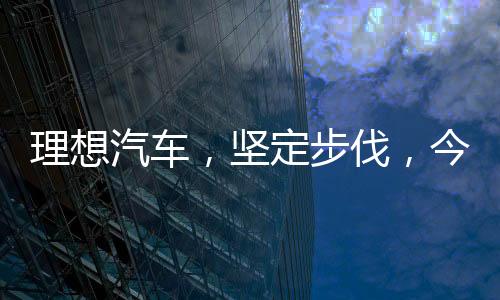 理想汽車，堅定步伐，今年純電SUV即將問世