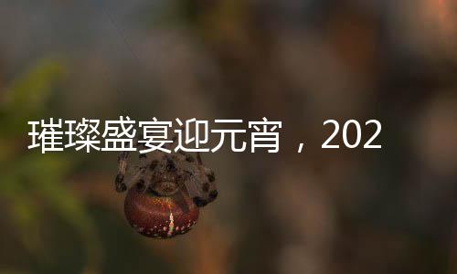 璀璨盛宴迎元宵，2025江蘇衛(wèi)視元宵晚會(huì)全景解析