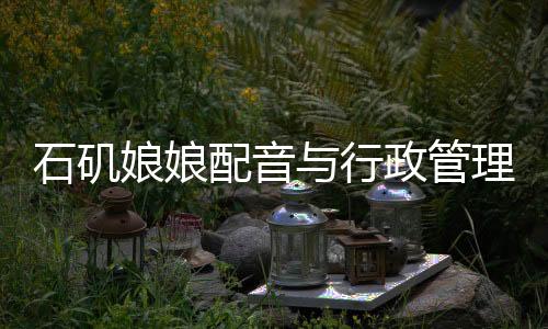 石磯娘娘配音與行政管理，發(fā)掘幕后魅力，揭秘行政新風尚