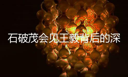 石破茂會(huì)見王毅背后的深意