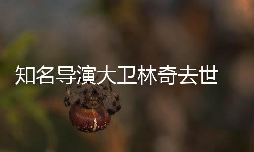 知名導(dǎo)演大衛(wèi)林奇去世 享年78歲