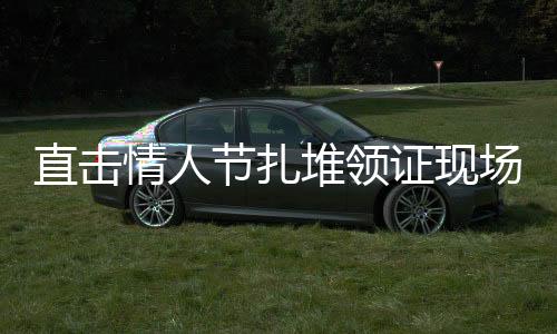 直擊情人節(jié)扎堆領(lǐng)證現(xiàn)場，浪漫盛宴下的冷靜觀察