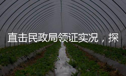 直擊民政局領(lǐng)證實(shí)況，探訪婚姻登記現(xiàn)場