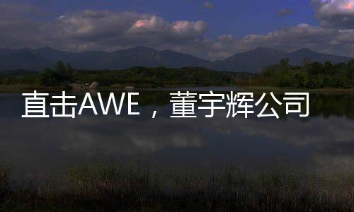 直擊AWE，董宇輝公司一天帶貨超1億，業(yè)務(wù)表現(xiàn)震驚電商圈